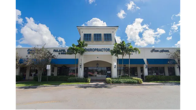 The Spine and Wellness Centers