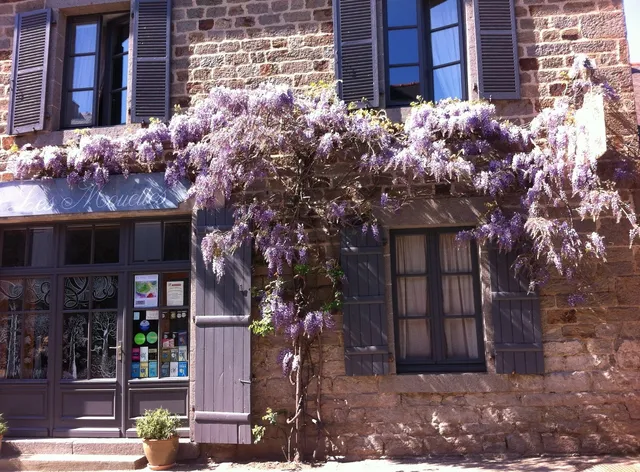 Chambres d'Hôtes Les Mouettes