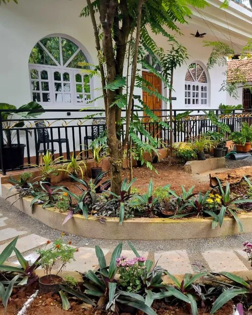 Whispering Palms Parra