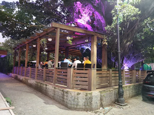 Cine Tree Cafe | Best Coffee shop near Connaught place