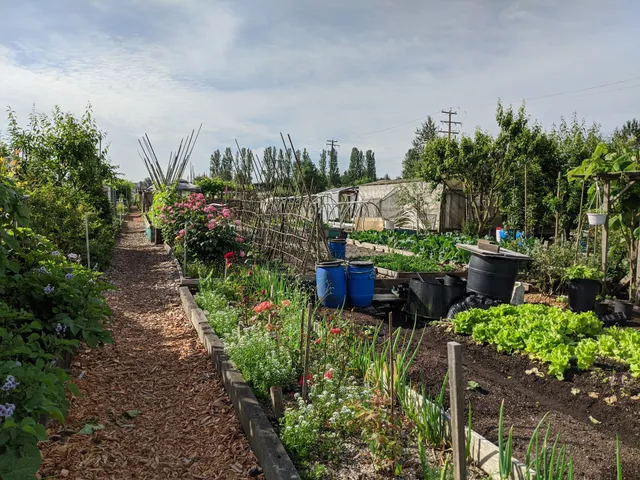 Burnaby and Region Allotment Garden