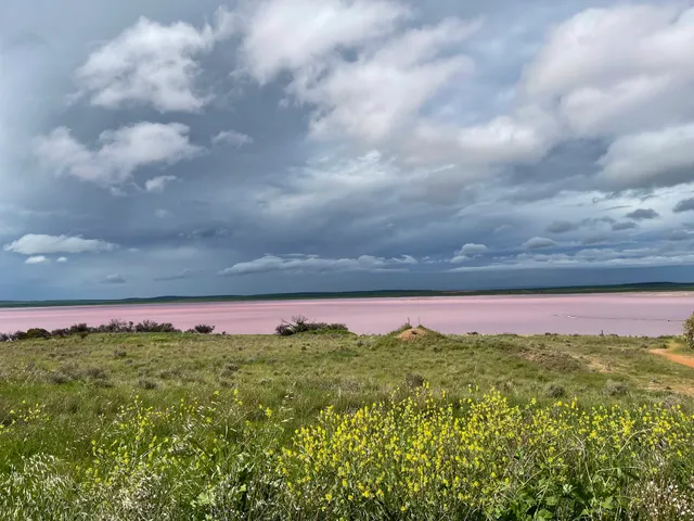 Kimba Lake Bumbunga viewpoint
