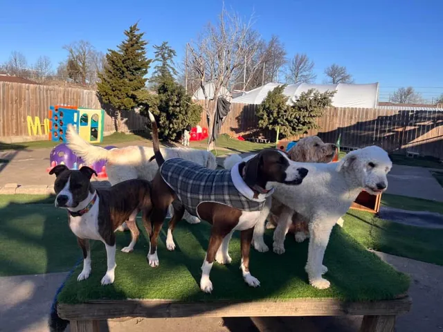 Wooferties Pet Resort LLC