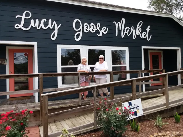Lucy Goose Market