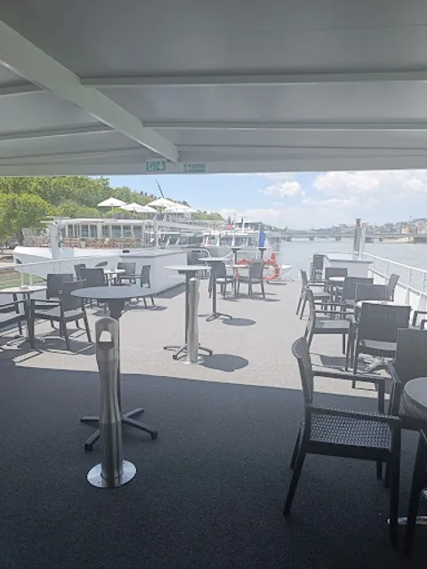 Boat Hermes Restaurant (Restaurant Cruises in Lyon)