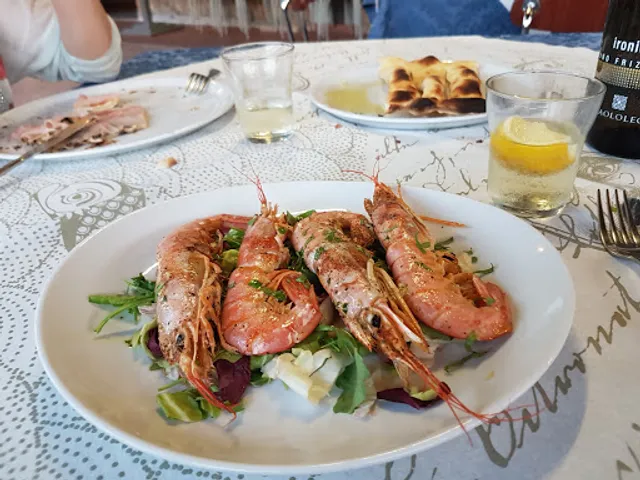 Bar Stella di Vignali Tecla S.N.C.