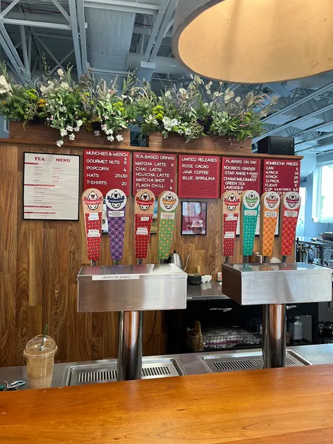 Laughing Gut Kombucha