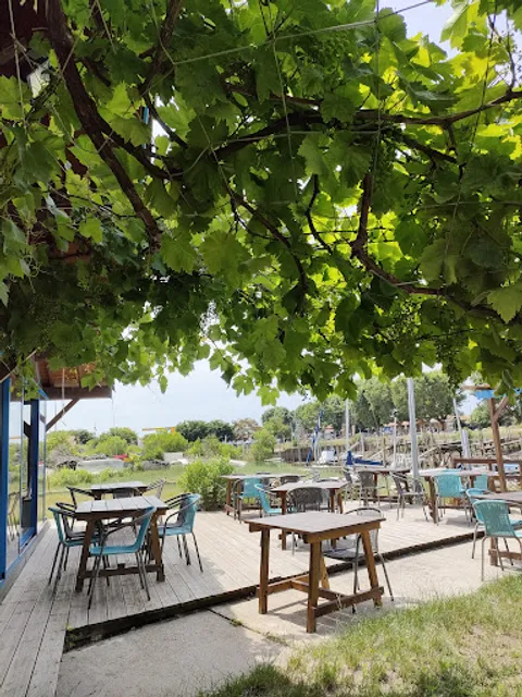 Dégustation d'huitres Lé Fé Bassin