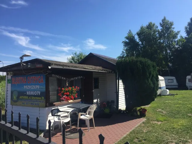 Pole kempingowe Błękitna Ostryga