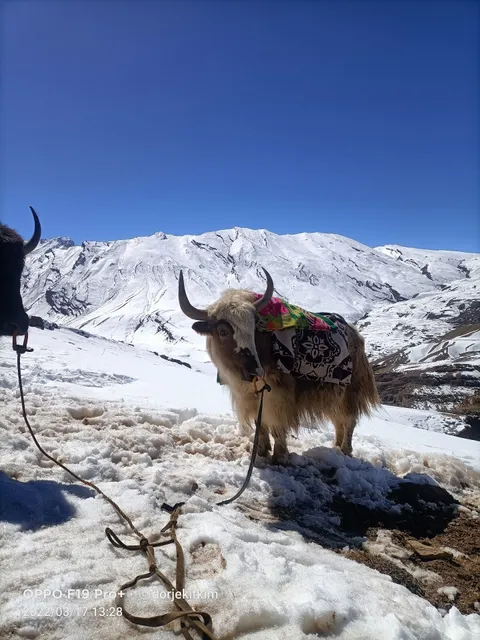 Tara Home Stay chicham