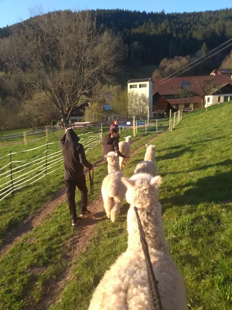 Ferienwohnungen Schwabenhof - Elke und Peter Armbruster