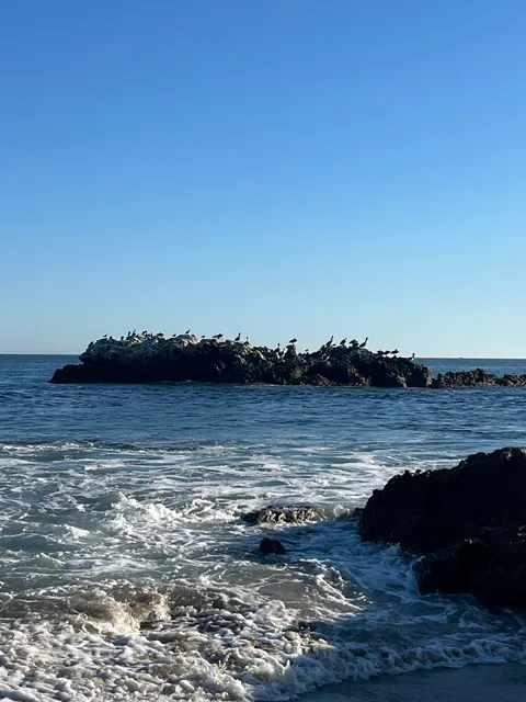 Laguna beach mirador