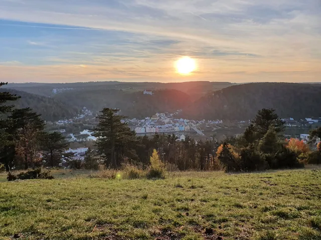 Schwammerl Riedenburg
