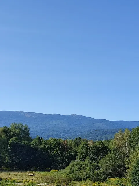 Apartamenty Kolorowe Cieplice