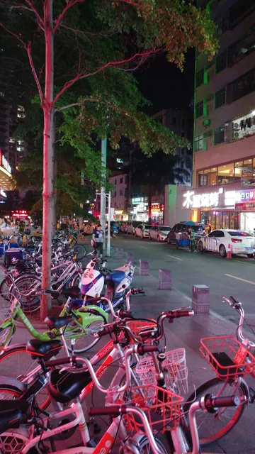 Shenzhen Futian Veteran Cadre Activities Centre