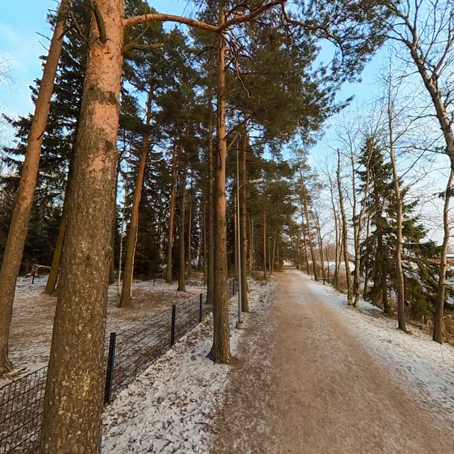 Dog Park at Henrik Forsius Road
