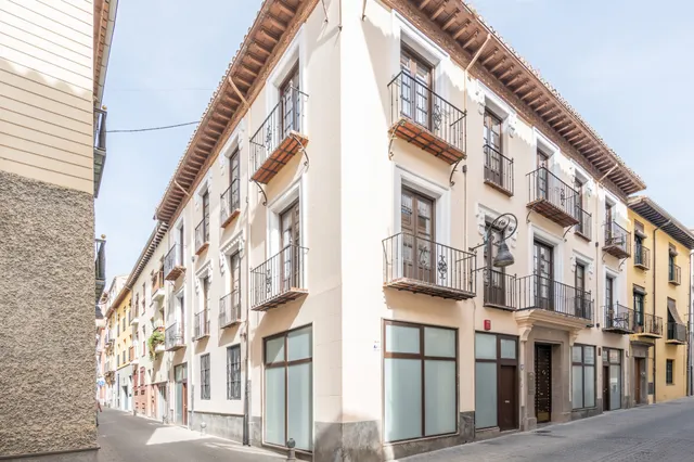 Apartamentos Luna Suites Palacio Dorita