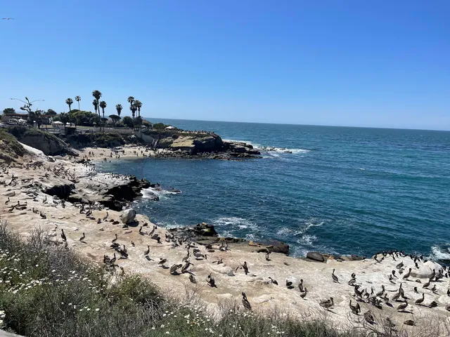 La Jolla Cove Rooftop by Wedgewood Weddings