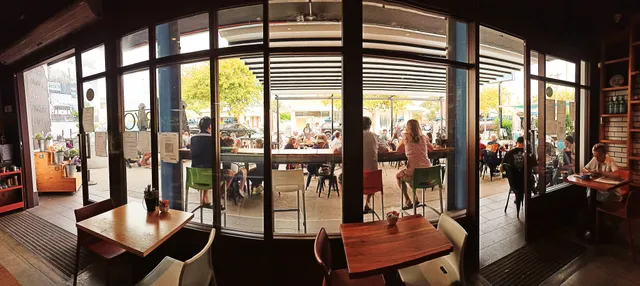 South Freo Continental