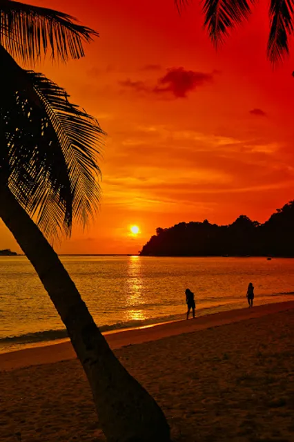 Restoran Juita Corner ( Tomyam )