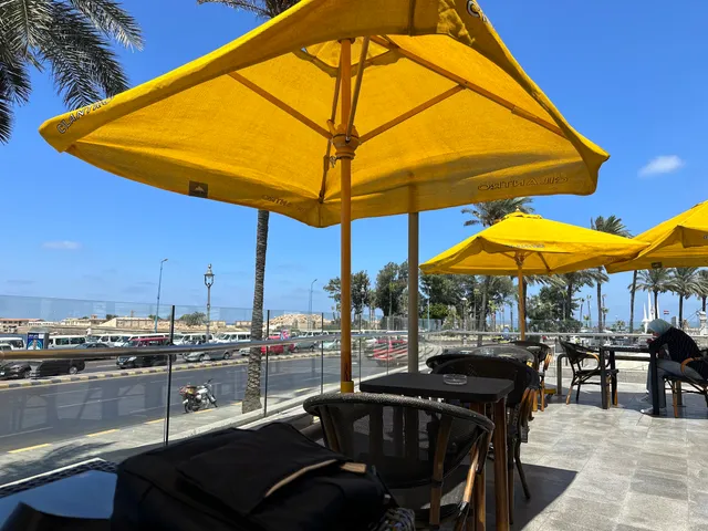 Cilantro Alex Library