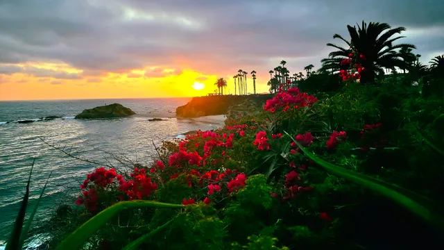 Treasure Island Beach