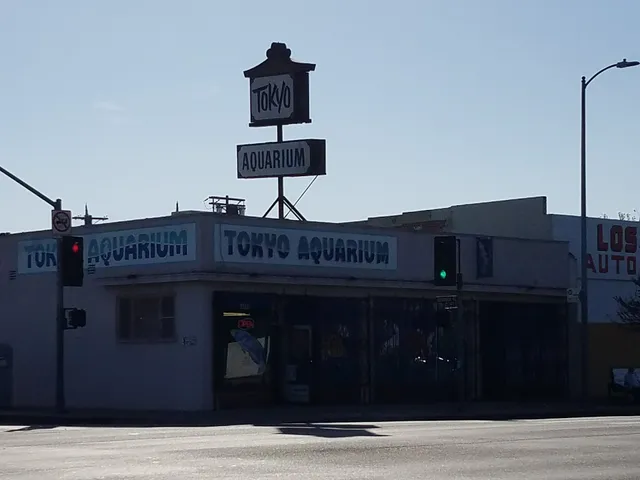Tokyo Aquarium🐠