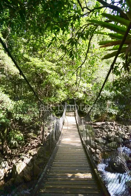 Budderoo National Park