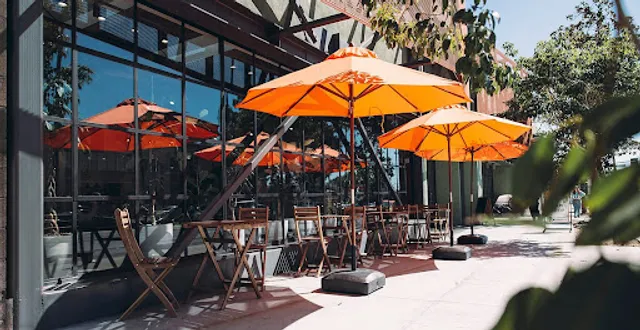 Javista Coffee Hollywood