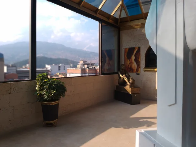 El palacio del centro