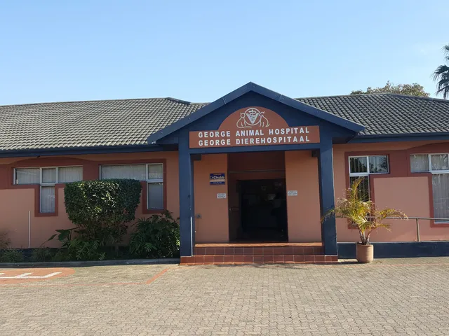 George Animal Hospital