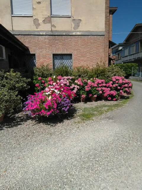 Il Girone dei Golosi