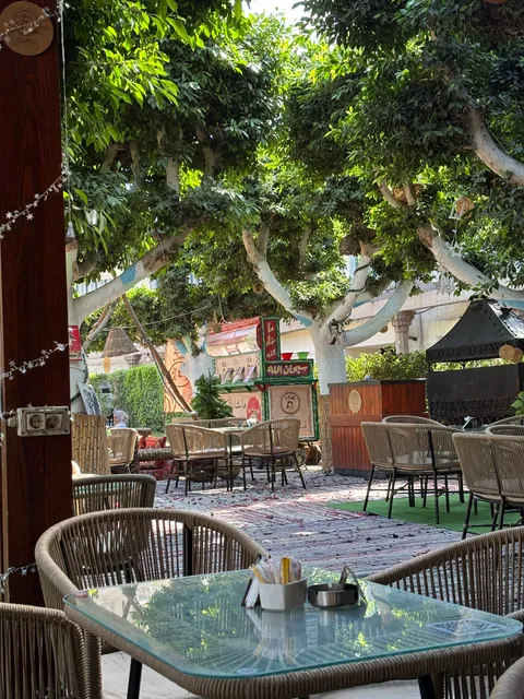 Ms Fathiya فتحية - Zamalek