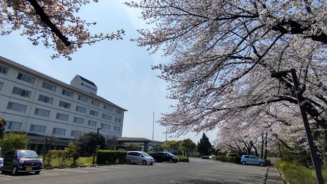 KAMENOI HOTEL KANONJI