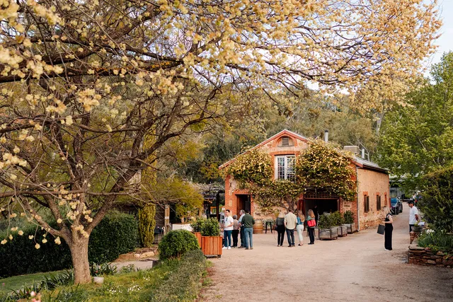 Marybank Estate – Weddings – Bed & Breakfast – Wine