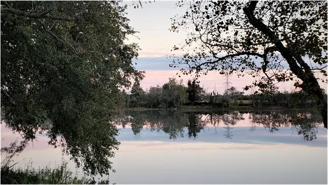 Tranquility Oaks Retreat