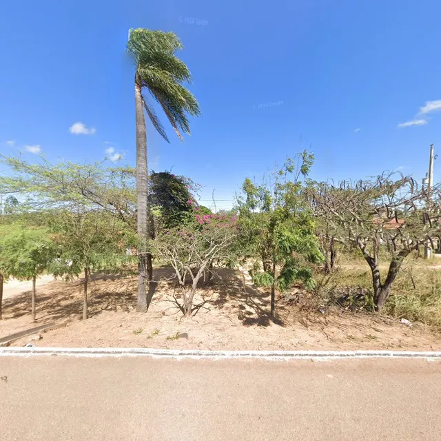 Bode Assado Do Viola