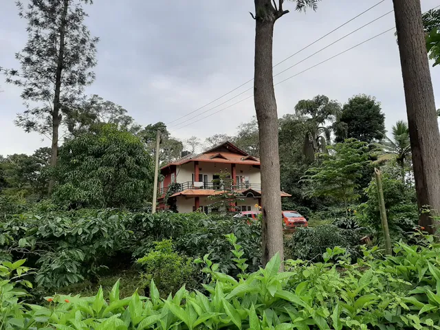 Kotekad Plantation Stay