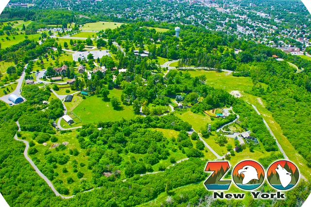 Zoo New York