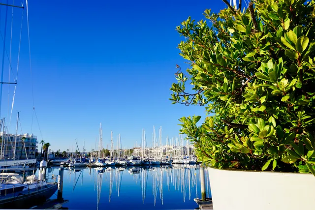 Modern Luxury Marina Appartment