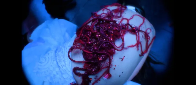 Family Video Store™