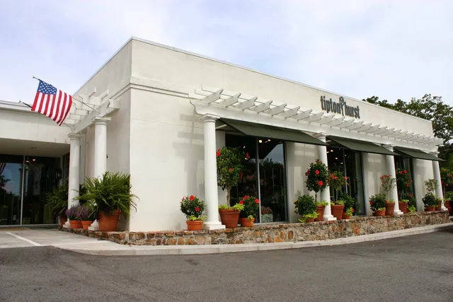 Tipton & Hurst - The Heights