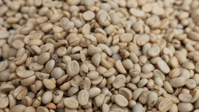 Paradise Mountain Organic Coffee