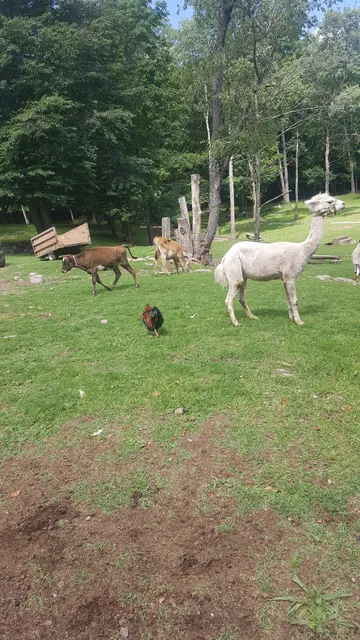 BeaverWood Farm (no children)