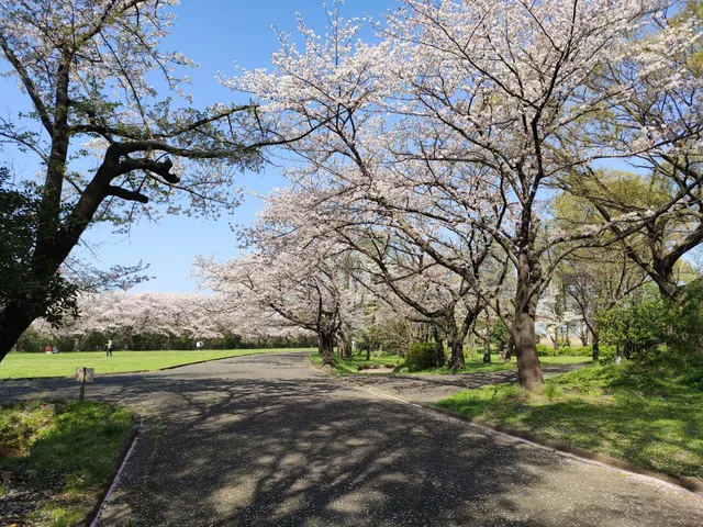 Sakuraso Park