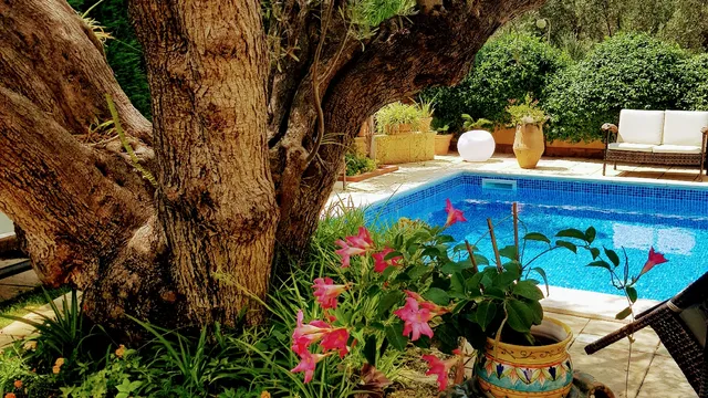 B&BVilla Degli Ulivi