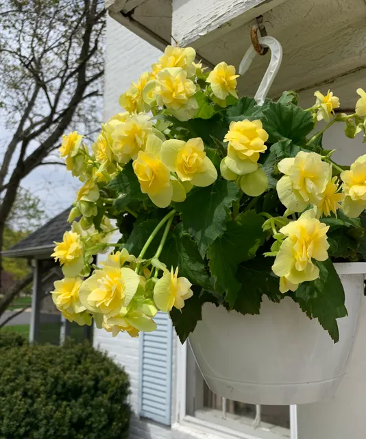 Miller’s Farm Market