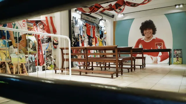 Flores y Plantas Arco Iris