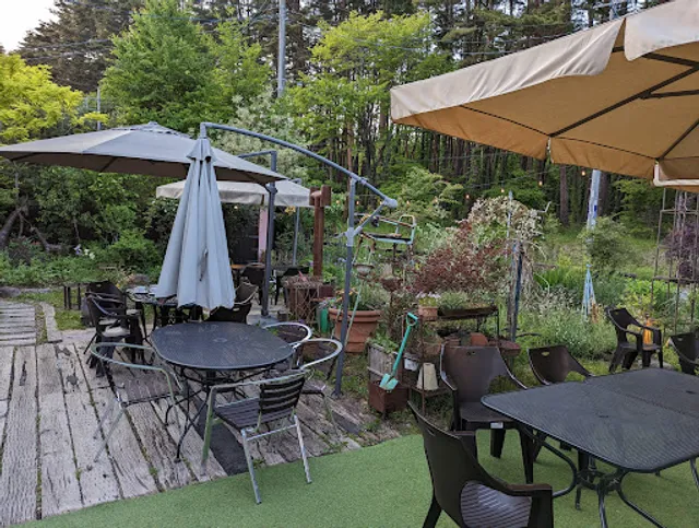 Pasta and PIzza Garden Marjoram