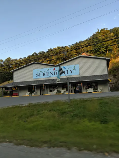 Serendipity Gifts & Toys